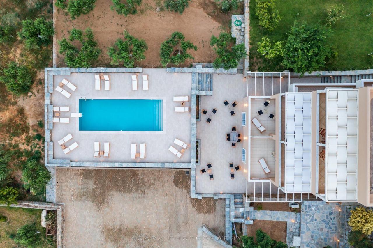 Ελαιών Apartments/Eleon Apartments Koriszía Kültér fotó